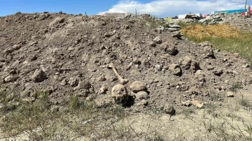 Van’da hafriyat atıkları arasında insan kemikleri bulundu
