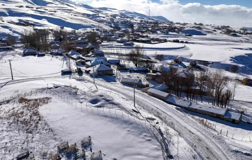 Van’da kardan dolayı kapanan 119 yerleşim yerinin yolu açıldı
