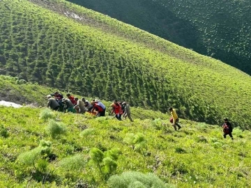 Van’da ot toplarken kayalıklardan düşen şahıs kurtarıldı
