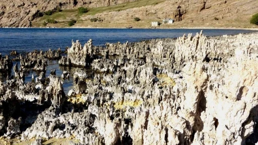 Van Gölü her geçen yıl biraz daha çekiliyor
