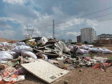 Vatandaşlar çevre kirliliğinden şikayetçi
