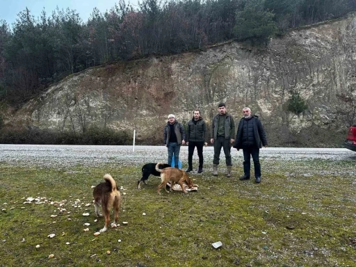 Vezirköprülü avcılar, yaban hayvanlarını besledi
