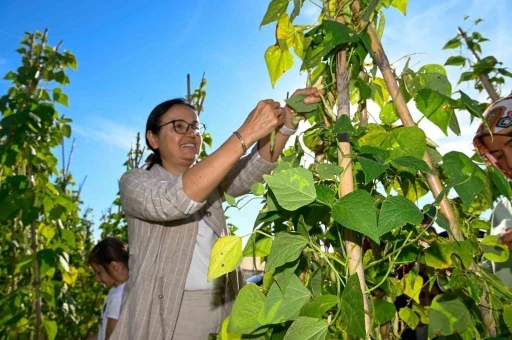 Yalova’da 65 çiftçiye 500 bin fide dağıtıldı
