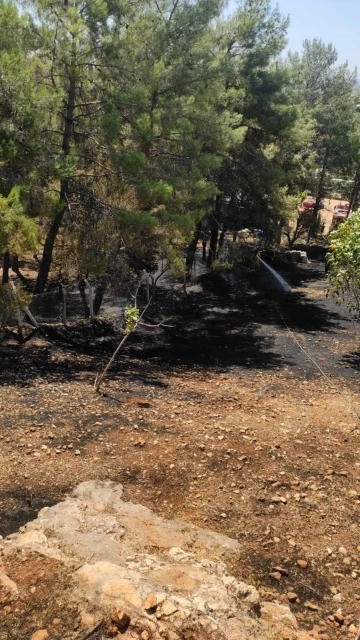 Yangın ormanlık alana sıçramadan söndürüldü
