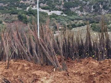 Yangında kovanları yanan arıcılara Büyükşehir’den malzeme desteği
