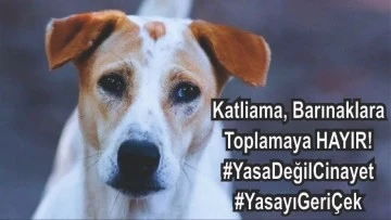 Yasa değil cinayet, yasayı geri çek