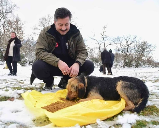 Yenişehir Belediyesi yaban hayvanlar ve kuşlar için beslenme noktaları oluşturdu
