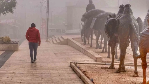 Yoğun sis mistik atmosfer oluşturdu
