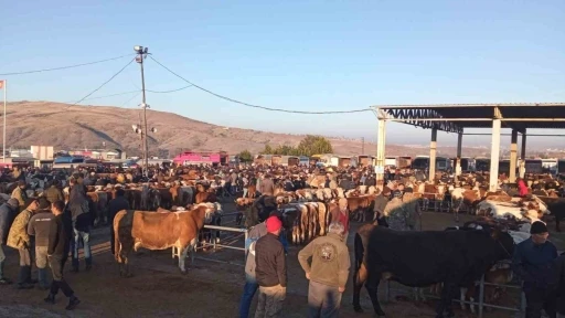 Yozgat’ta üç ilçede hayvan pazarları geçici olarak kapatıldı
