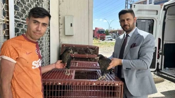 Yüksekova’da 5 bin kanatlı hayvan dağıtıldı
