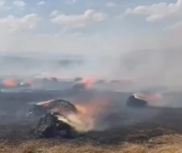 Yüksekova’da çıkan arazi yangını korkuttu
