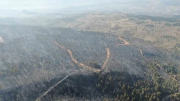 Yürek yakan manzara: Ormanlık alandaki tahribat havadan görüntülendi
