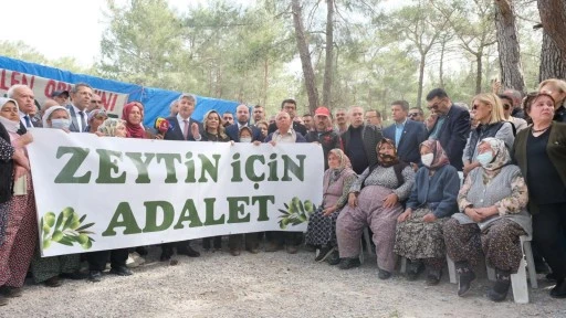 Zeytin yönetmeliği oy birliğiyle iptal  