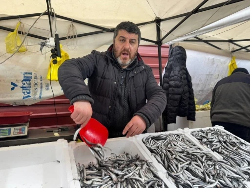 Zonguldak’ta hamsi 100 liradan alıcı buldu
